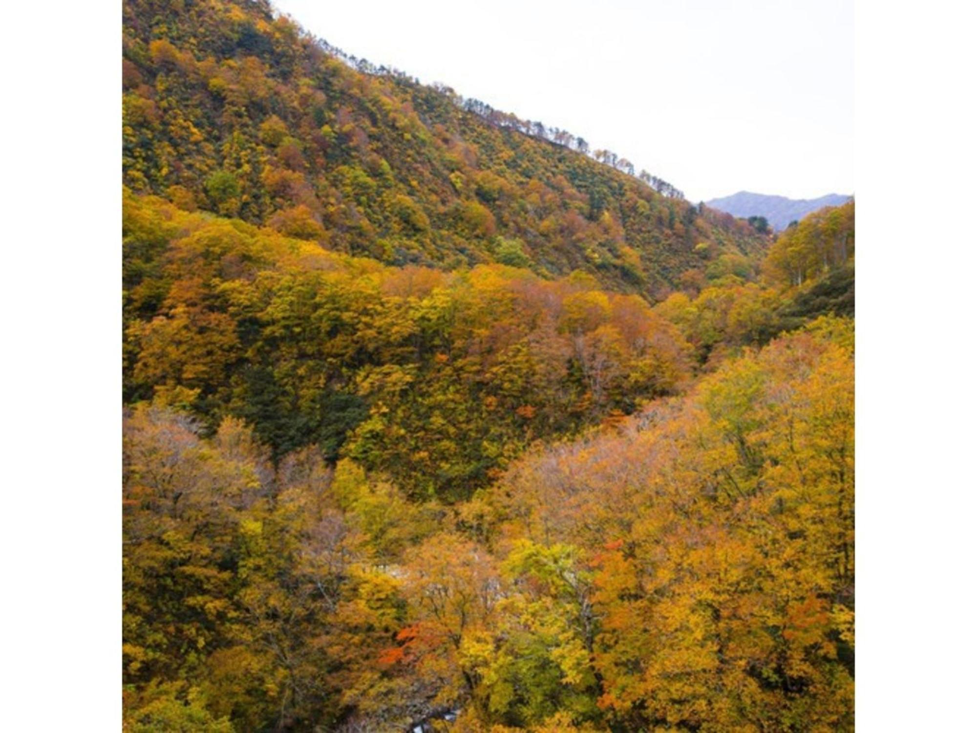 Shintainai Onsen Royal Tainai Park Hotel - Vacation Stay 90212V エクステリア 写真