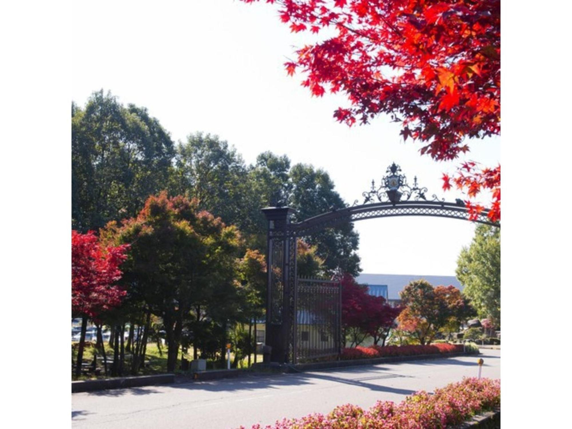 Shintainai Onsen Royal Tainai Park Hotel - Vacation Stay 90212V エクステリア 写真
